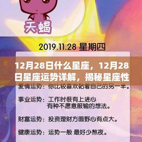 揭秘12月28日星座运势与性格魅力,星座性格与未来走向详解