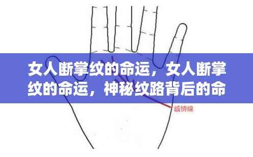 女人断掌纹的命运之谜，神秘纹路揭示命运走向