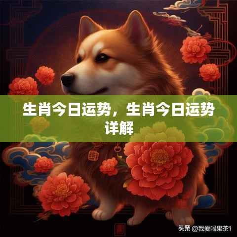 生肖今日运势详解分析报告