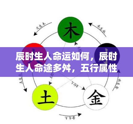 辰时出生人的命运解析,五行属性揭示未来走向与命途多舛的真相