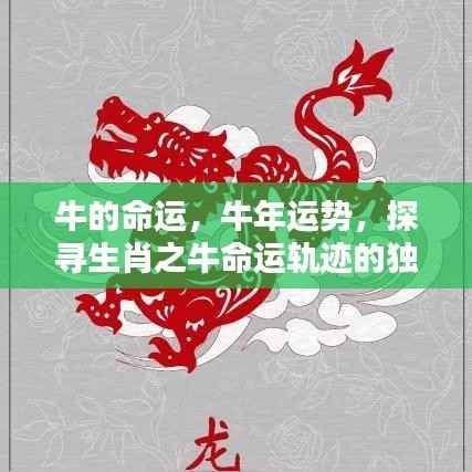 探寻生肖之牛命运魅力，牛年运势与命运轨迹深度解析