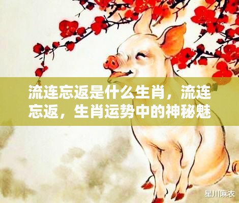 揭秘生肖魅力,流连忘返的生肖运势之谜