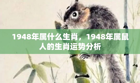 1948年属鼠人的运势详解与生肖特征分析
