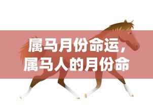 属马人的月份命运解析,揭示不同月份的命运走向