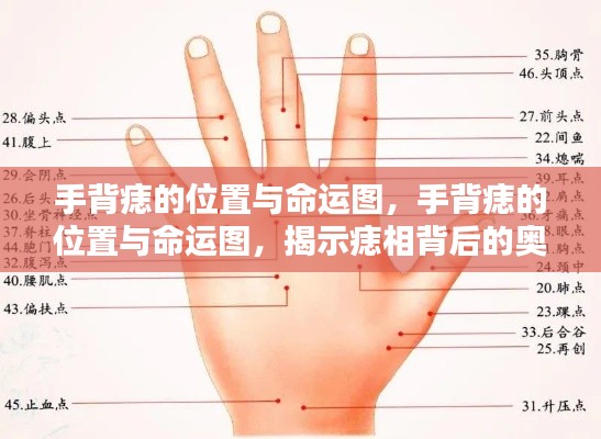 手背痣的位置与命运图,痣相背后的奥秘揭秘