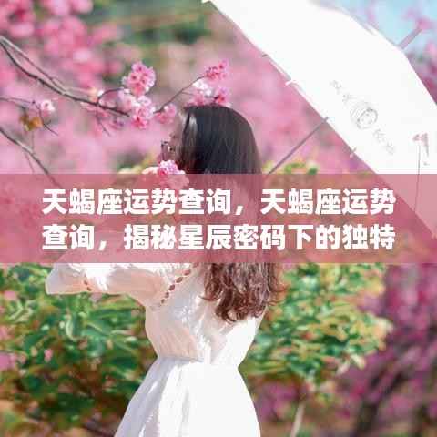 揭秘天蝎座运势,星辰密码下的独特魅力与未来展望