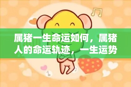属猪人的命运轨迹揭秘,一生运势与命运分析
