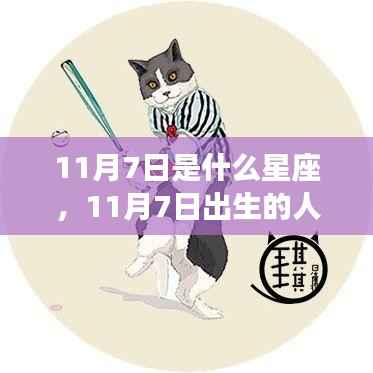 11月7日是什么星座,11月7日出生的人属于什么星座?运势解析与性格揭秘