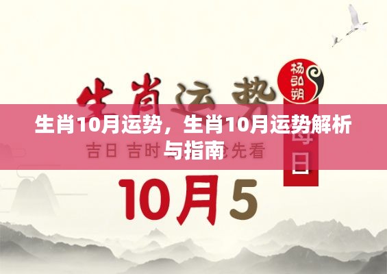 生肖运势解析,十月运势概览与指南