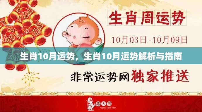 生肖运势解析,十月运势概览与指南
