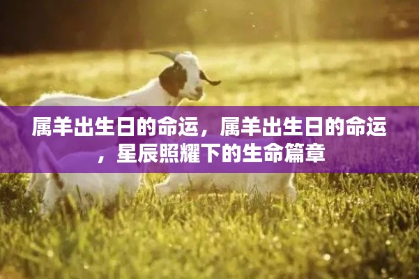 星辰照耀下的属羊命运篇章，揭秘属羊出生日的生命轨迹