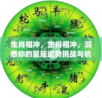 生肖相冲洞悉星座运势挑战与机遇解析