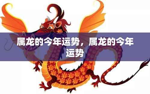 属龙人今年运势详解及运势展望