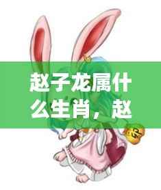 赵子龙生肖探秘,传奇星座与生肖交织之谜