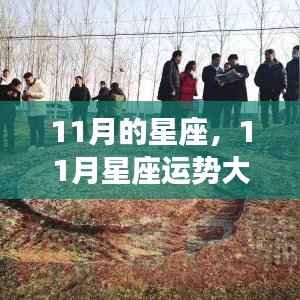 揭秘十一月星座运势,星象指引好运连连