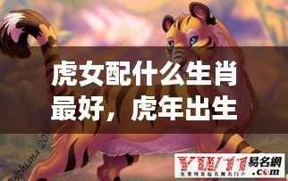 虎女最佳生肖配对,哪些生肖男性与虎年出生的女性最为相配?
