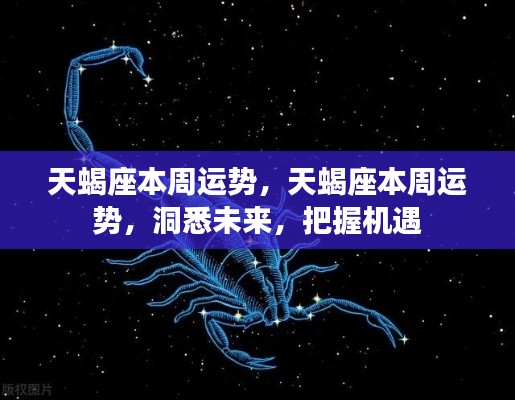 天蝎座本周运势详解,洞悉未来,把握机遇的黄金时间点