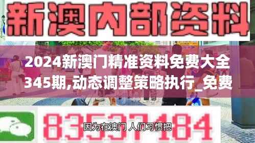 2024新澳门精准资料免费大全345期,动态调整策略执行_免费版13.450