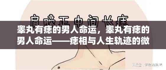 睾丸痣相与男性命运,痣相与人生轨迹的微妙联系揭秘