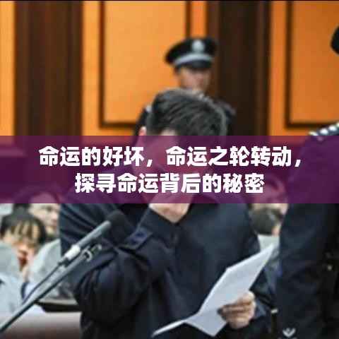 探寻命运背后的秘密,命运之轮的转动与命运的好坏之谜