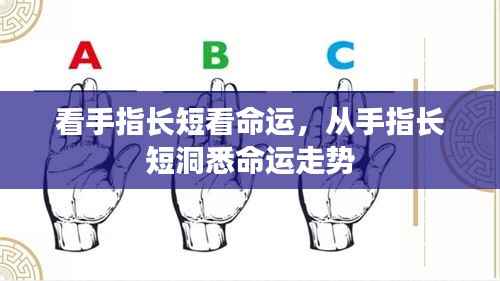 从手指长短洞悉命运走势,手相学中的秘密揭示命运长短与走势的真相