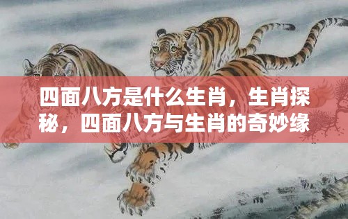 生肖探秘,揭秘四面八方与生肖的奇妙缘分