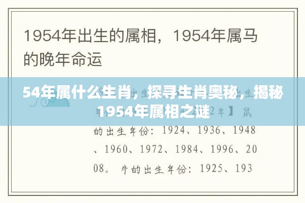 揭秘生肖奥秘,探寻1954年属相之谜,揭秘属相背后的故事与奥秘