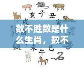 生肖运势揭秘，神秘力量下的数不胜数生肖揭秘