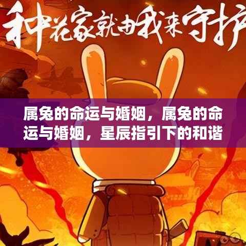 星辰指引下的属兔命运与和谐婚姻篇章