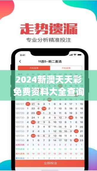 2024新澳天天彩免费资料大全查询347期,精细方案实施_WP17.237