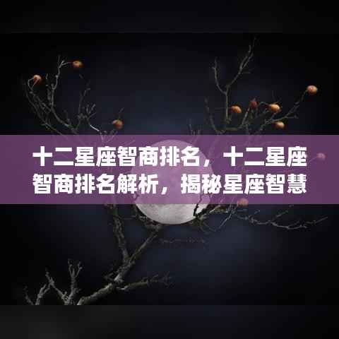 揭秘十二星座智商排名背后的秘密解析