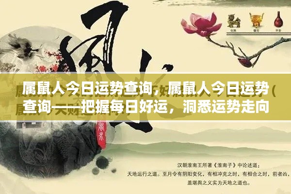 属鼠人今日运势详解,掌握好运,洞悉运势走向