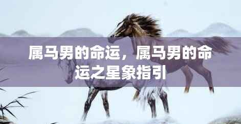 属马男的命运之星象指引与未来展望