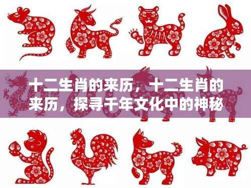 探寻千年文化中的神秘符号,十二生肖的来历与故事