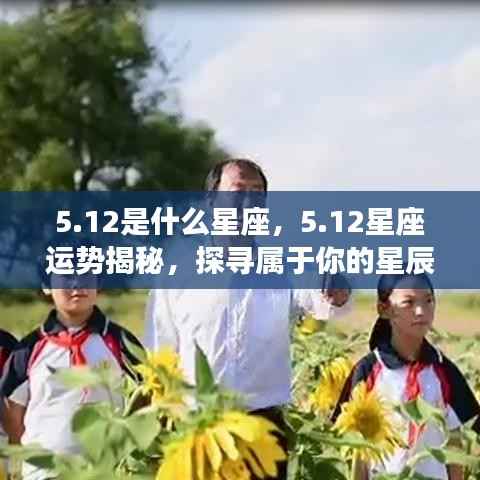 12星座运势揭秘与探寻个人星辰轨迹,属于你的星座运势分析