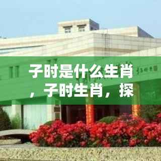 子时生肖揭秘,探寻千年传统中的奥秘