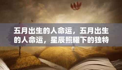 炊粱跨卫 第6页