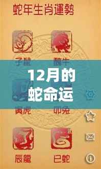 12月蛇年出生者的命运与运势解析,命运之轮如何转动?