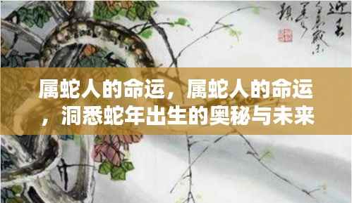 属蛇人的命运奥秘与未来展望,洞悉蛇年出生人的运势走向