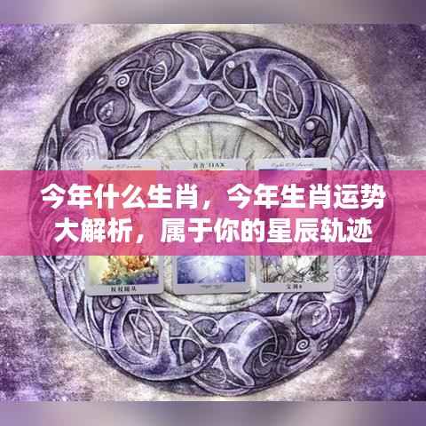 今年生肖运势解析,星辰轨迹下的个人运势展望