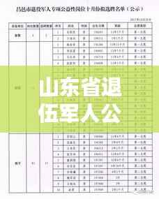 山东省退伍军人公益岗位最新动态,荣耀再现,拓宽退役军人职业道路