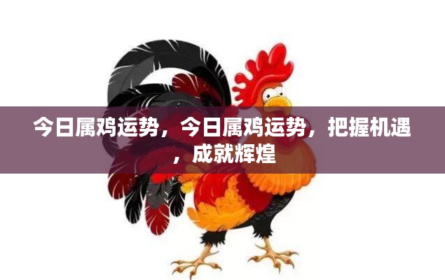 今日属鸡运势详解,把握机遇,成就辉煌人生