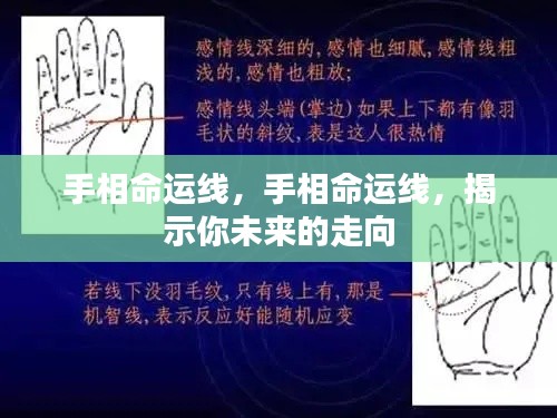 手相命运线揭秘,洞悉未来走向的奥秘线索