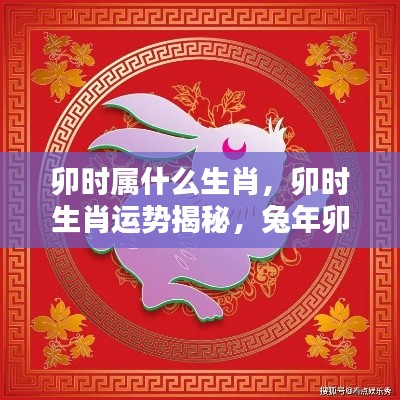 卯时生肖揭秘与运势展望,兔年卯时的独特魅力与运势走向解析