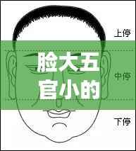 脸大五官小的女人的命运与星座运势解读,面相中的缘分与命盘独特之处