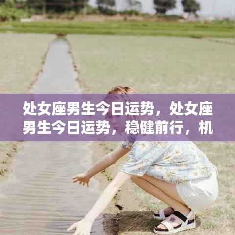 处女座男生今日运势,稳健前行,机遇与挑战并存