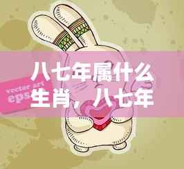 八七年属兔生肖运势揭秘,岁月变迁中的机遇与挑战