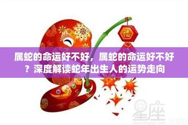 属蛇的命运深度解读,运势走向与命运解析