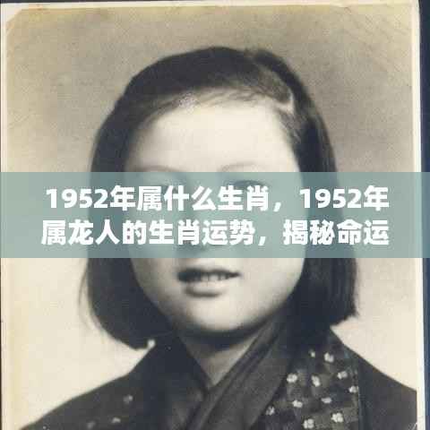 揭秘1952年属龙人的生肖运势与命运轨迹，洞悉人生起伏