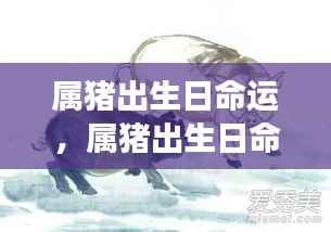 猪年出生者的命运密码,探寻属猪者的生命轨迹与命运起伏